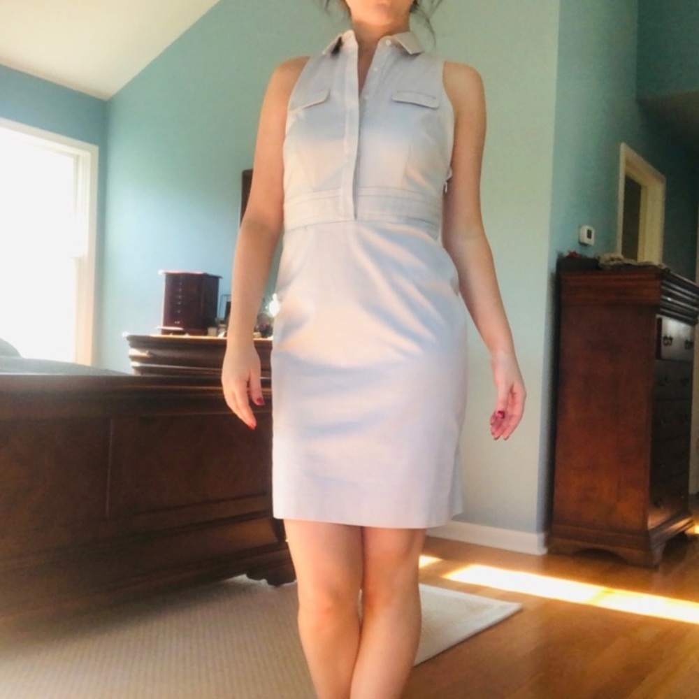 Ann Taylor Gray Pinstriped Sleeveless Dress